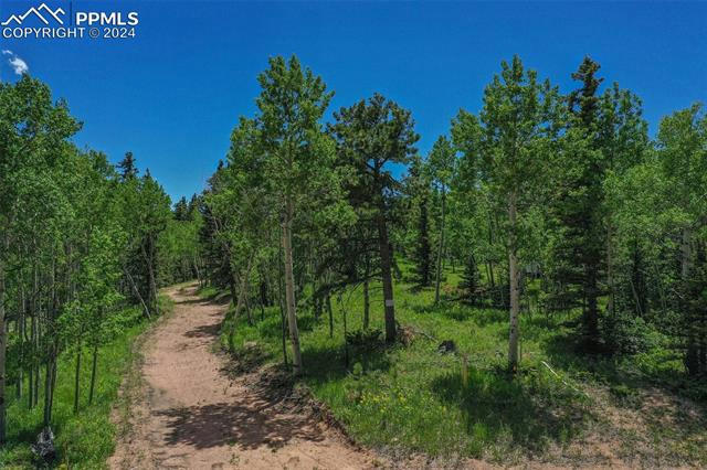 228 WORLEY RD, DIVIDE, CO 80814, photo 1 of 8