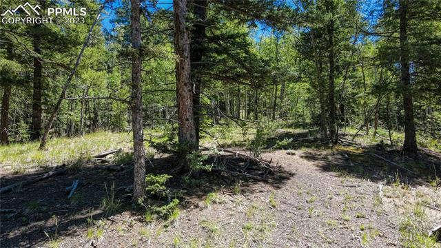 1601 MAY QUEEN DR, CRIPPLE CREEK, CO 80813, photo 3 of 44