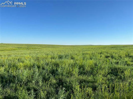 35520 COUNTY ROAD 160, AGATE, CO 80101, photo 5 of 13
