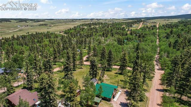 62 MAID MARIAN DR, DIVIDE, CO 80814, photo 4 of 4
