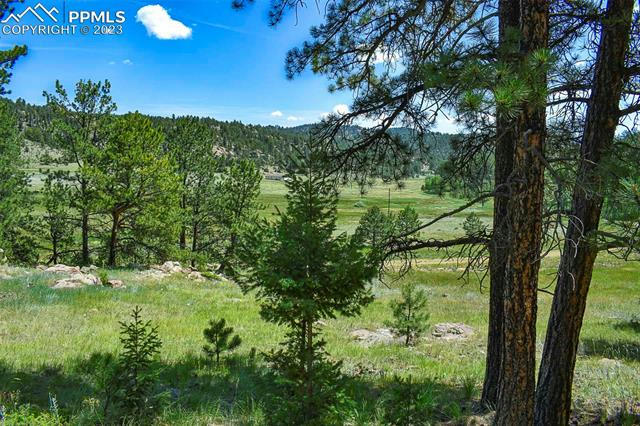 468 VALLEY DR, GUFFEY, CO 80820, photo 1 of 28