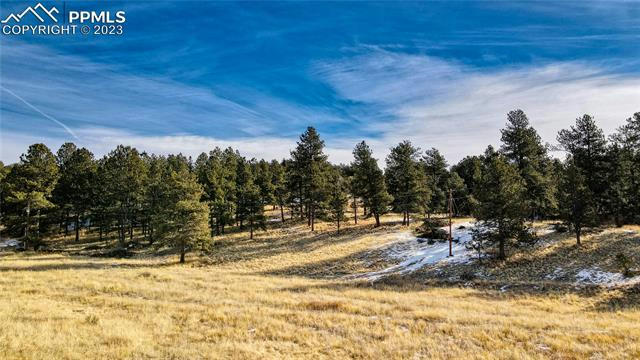 150 HIGH PASTURE RD, FLORISSANT, CO 80816, photo 4 of 20