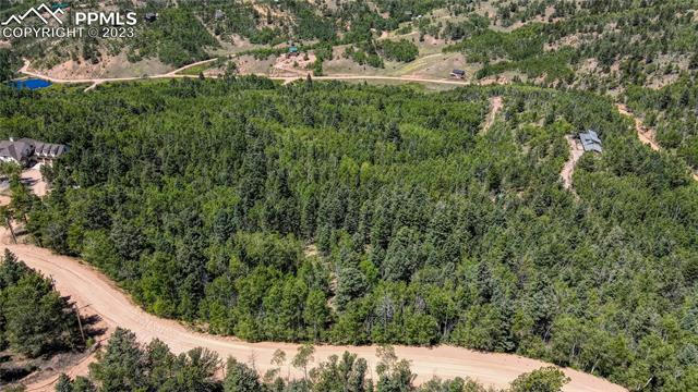 1601 MAY QUEEN DR, CRIPPLE CREEK, CO 80813, photo 2 of 44