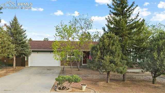 7085 NETTLEWOOD PL, COLORADO SPRINGS, CO 80918, photo 4 of 35