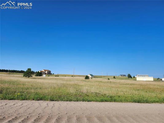 12205 FOREST GREEN DR, ELBERT, CO 80106 - Image 1