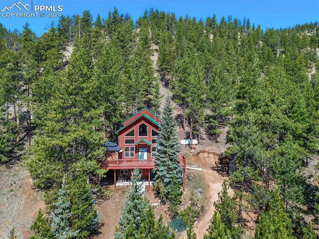 371 W PLATTE RD, LAKE GEORGE, CO 80827, photo 1 of 50
