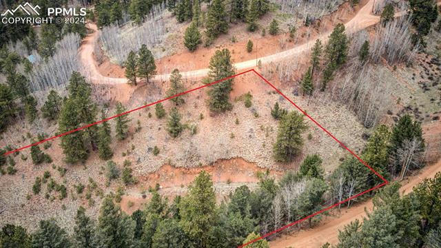 221 VALLEY RD, DIVIDE, CO 80814, photo 4 of 11