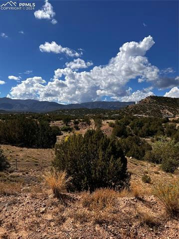 110 HIDEAWAY TRAIL, ROCKVALE, CO 81244, photo 1 of 9