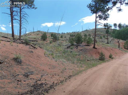 14691 CROOKED TRAIL RD, WOODLAND PARK, CO 80863 - Image 1