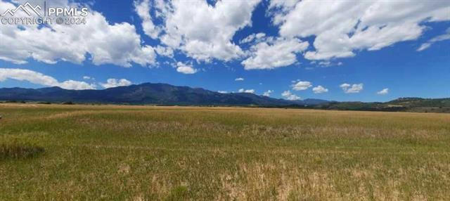 LOT 61 WILD CAT PLACE, COLORADO CITY, CO 81069 - Image 1